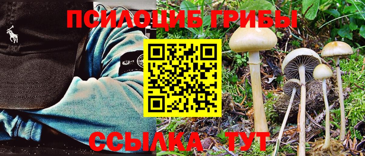 Галлюциногенные грибы GOLDEN TEACHER Каменка